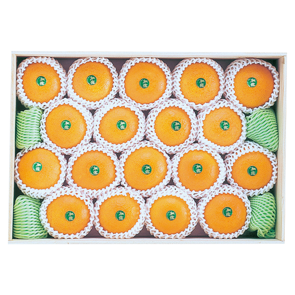 nzY (݂) (MK-100)y͂ԁF12{`z